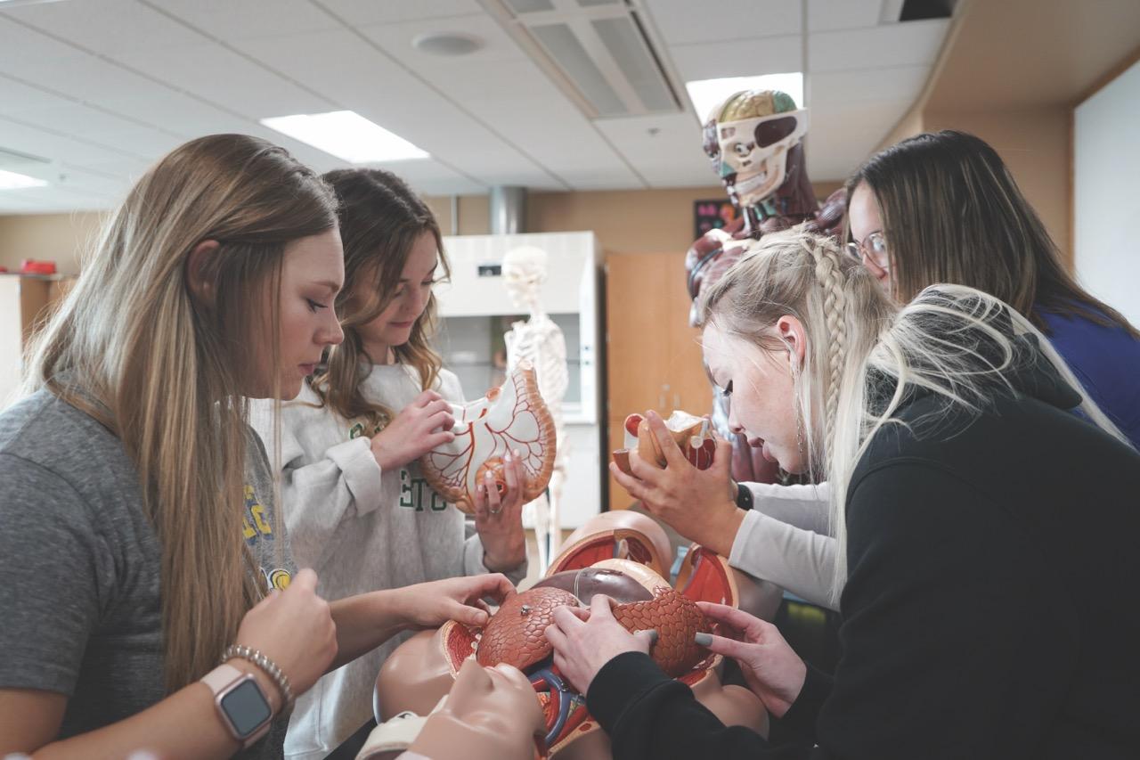 四名女Nursing系学生在看解剖假人，学习人体知识